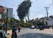 Pohon tumbang di jalan Ngesrep, Semarang. (X/@chocorawr)