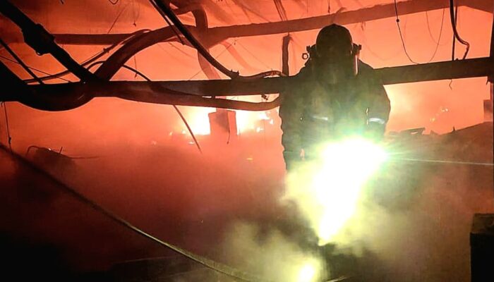 Kandang Peternakan Semarang Ludes Terbakar, 55 Ribu Ayam Mati Terpanggang