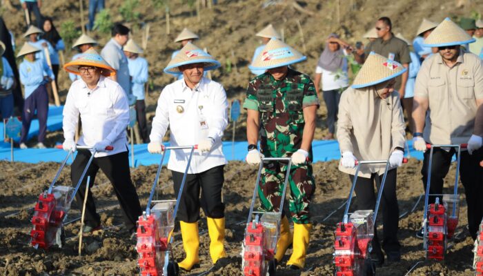 Ikut Tanam Jagung Bareng Kapolri, Ahmad Luthfi All Out Dukung Swasembada Pangan