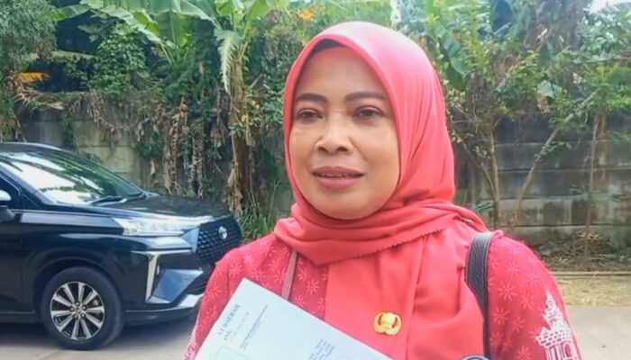 Armada Sampahnya Disebut ‘Rembol’, Begini Penjelasan DLH Kabupaten Semarang