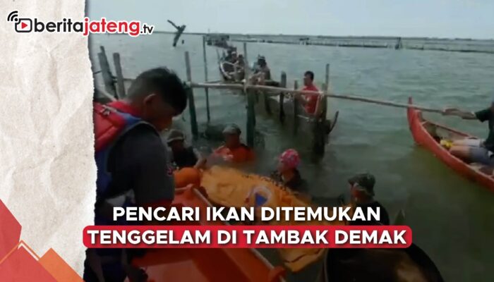 Video Pencari Ikan dengan Senapan Rakitan Ditemukan Tewas Tenggelam di Tambak