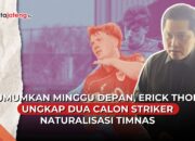pemain naturalisasi Timnas