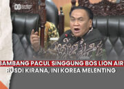 Bambang Pacul