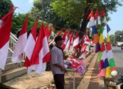 One Piece Bendera