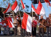 Bendera One Piece