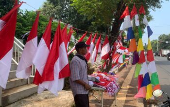 One Piece Bendera