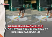 bendera one piece