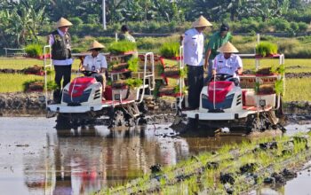 Sinergi Pemprov dan BI Jateng Pulihkan Lahan Pertanian Bekas Banjir Seluas 512 Hektar di Demak