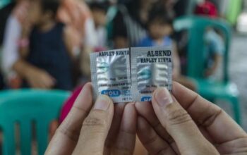 dokter obat cacing