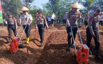 Jagung Polres Semarang