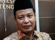 peternakan babi