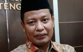 peternakan babi