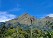 Jalur Pendakian Gunung Merbabu