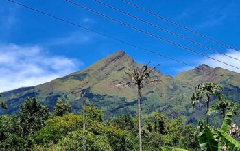 Jalur Pendakian Gunung Merbabu