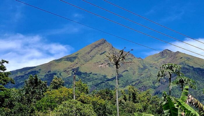 Otoritas BTNGMb Tutup Sementara Jalur Pendakian Gunung Merbabu, Ini Alasannya