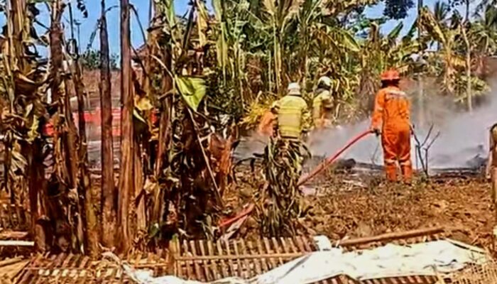 Kebakaran Desa Ketapang, PMI Semarang Segera Salurkan Bantuan Sembako dan Peralatan Harian