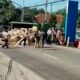Truk Muatan Kayu Terguling Saat Hendak Masuk Jembatan Timbang, Ini Kronologinya
