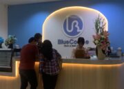 blue coffee and work semarang