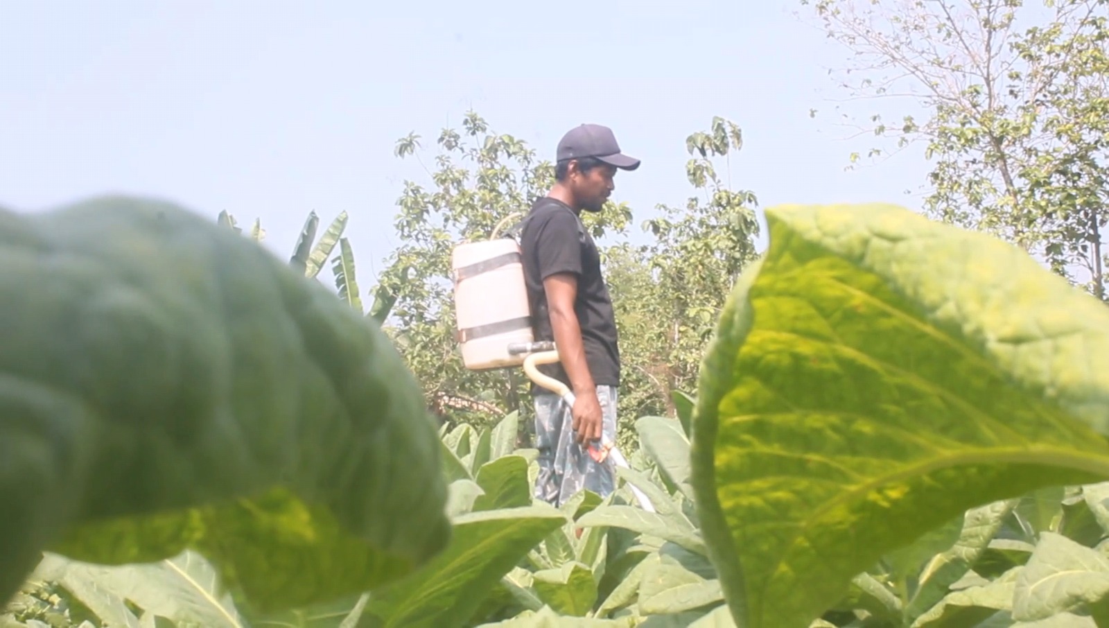 suwarno petani blora