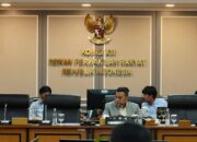naturalisasi pemain Timnas