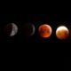 Deretan Fenomena Alam Unik Agustus 2025, Mulai dari Perseid, Konjungsi Venus–Jupiter, hingga Black Moon