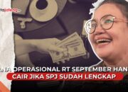 SPJ dana operasional RT