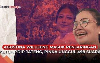 Agustina Wilujeng - Pinka Haprani
