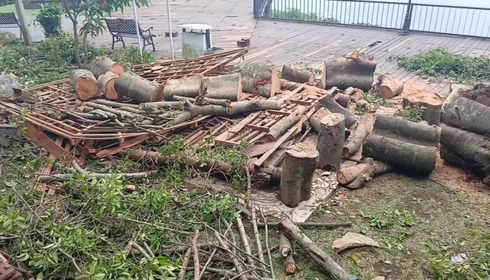 Imbas Hujan Disertai Angin Kencang, Dua Fasilitas DTW Bukit Cinta Ungaran Rusak Tertimpa Pohon Tumbang