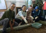 Walikota Semarang Serius Atasi Sampah Organik Lewat Program Gumregah