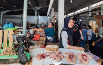 Kenaikan Harga Pakan Jadi Penyebab Daging Ayam Naik di Pasaran