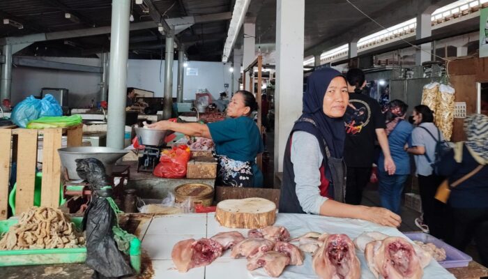 Kenaikan Harga Pakan Jadi Penyebab Daging Ayam Naik di Pasaran