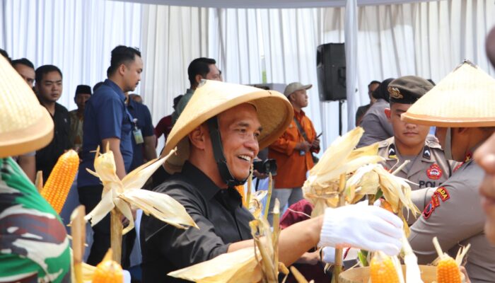 Ketua DPRD Jateng Sumanto Ikut Panen Raya Jagung Serentak di Karanganyar