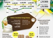 Naik di 214 Kabupaten/Kota, Pemerintah RI Lakukan Sejumlah Upaya Stabilkan Harga Beras