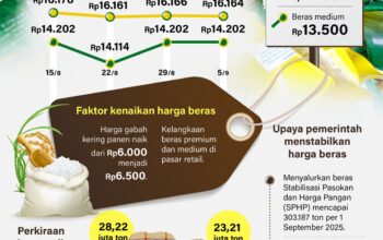 Harga Beras