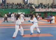 Karate Porprov