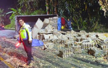 Kronologi Truk Pengangkut Telur Terguling di Jalan Lingkar Selatan Salatiga, Puluhan RIbu Butir Pecah