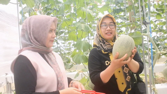 Melon Blora