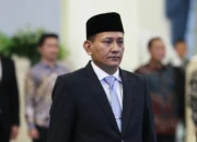 PAW Rohmat