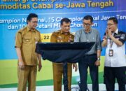 harga cabai Jateng