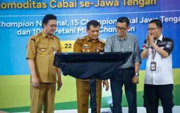 harga cabai Jateng