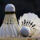 Hasil Korea Open 2025, Wakil Indonesia Semakin Menyala Jelang Babak 16 Besar
