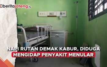 Napi rutan Demak kabur
