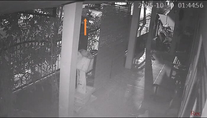 Viral Rekaman CCTV Pencurian Mobil Depan Rumah Warga Blora, Pelaku Santai Dorong Tengah Malam