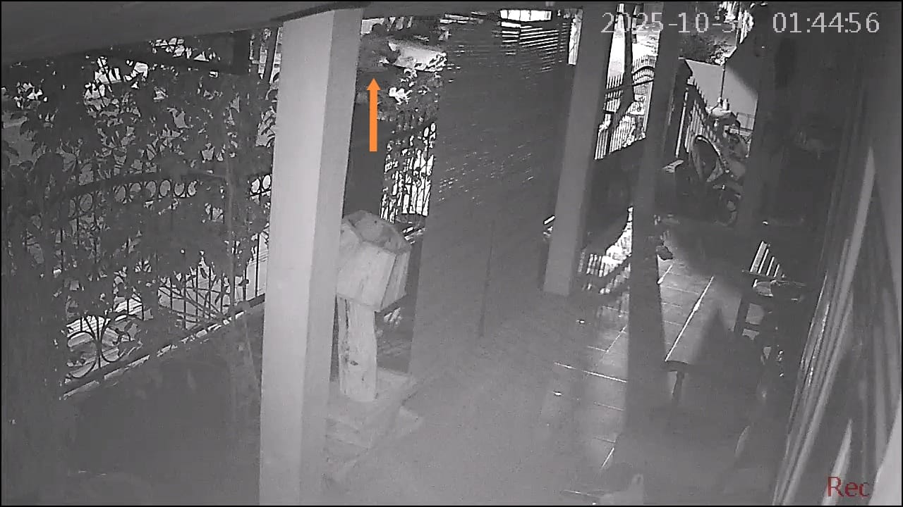 Pencurian Mobil Blora