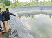 Bocah Embung