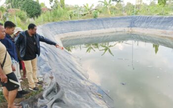 Terpeleset Saat Cari Ikan di Embung, Bocah 8 Tahun di Bancak Kabupaten Semarang Meninggal Dunia