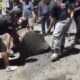 Viral Aspal Jalan di Semarang Bisa Dikupas, Relawan Himpun Dana Lakukan Pengecoran