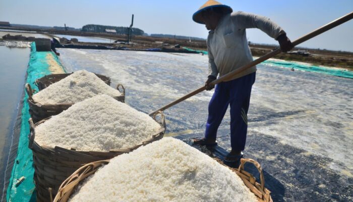 Minta Industri Garam Tak Dikelola Swasta, DKP Jateng Dorong Produksi dari BUMD dan Koperasi