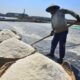 Minta Industri Garam Tak Dikelola Swasta, DKP Jateng Dorong Produksi dari BUMD dan Koperasi