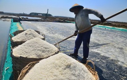 industri garam